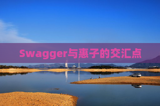 Swagger与惠子的交汇点